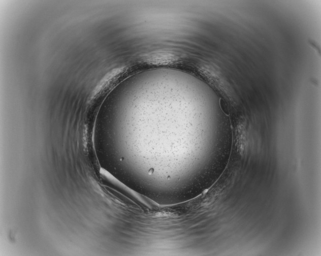 X0000102510400200808151552