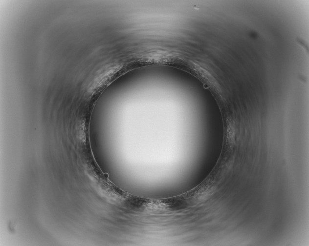 X0000102510403200808151552