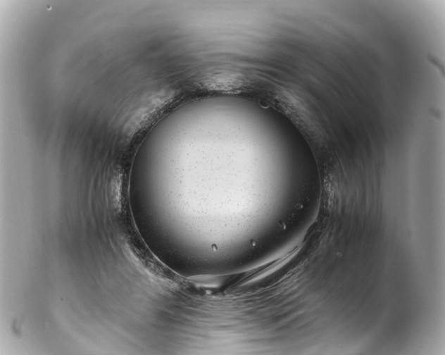 X0000102510404200808151552