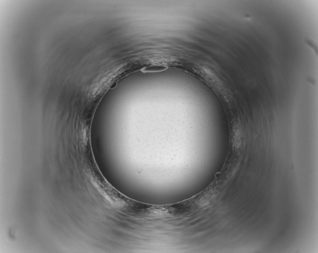 X0000102510405200808151552