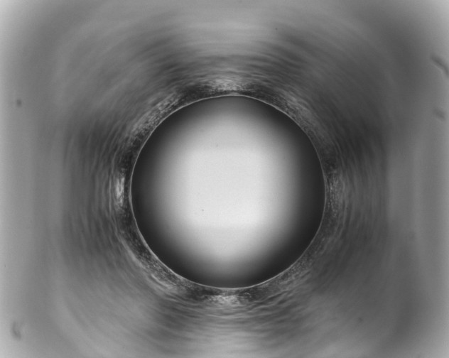 X0000102510406200808151551