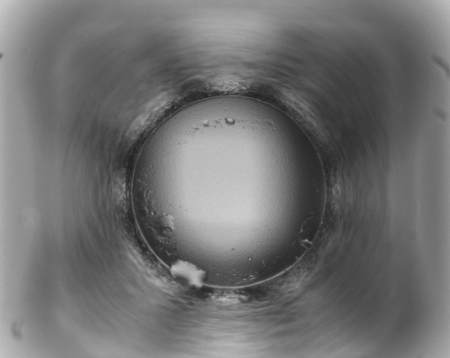 X0000102510407200808151551