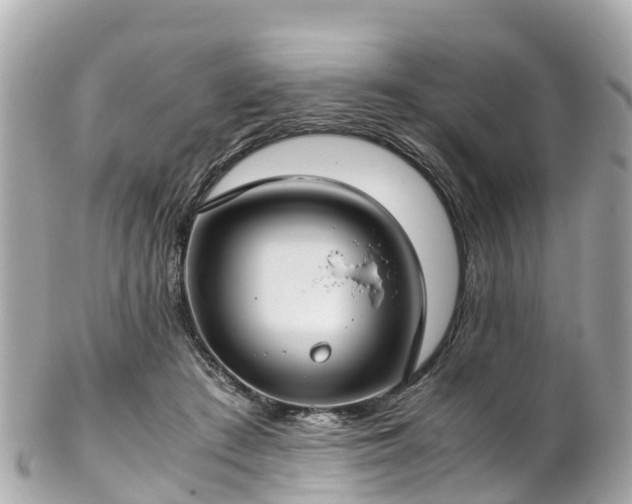 X0000102510409200808151551
