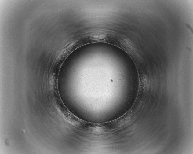 X0000102510412200808151551