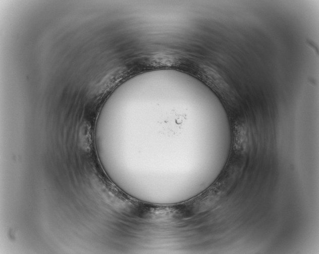 X0000102510414200808151551