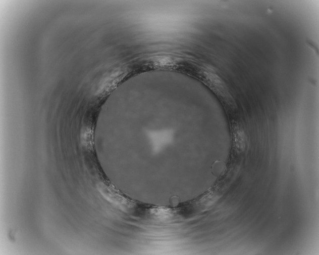 X0000102510419200808151551