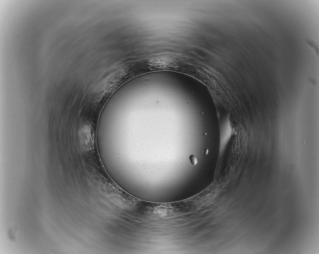 X0000102510420200808151551