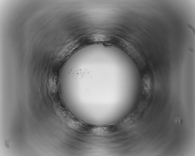 X0000102510422200808151551