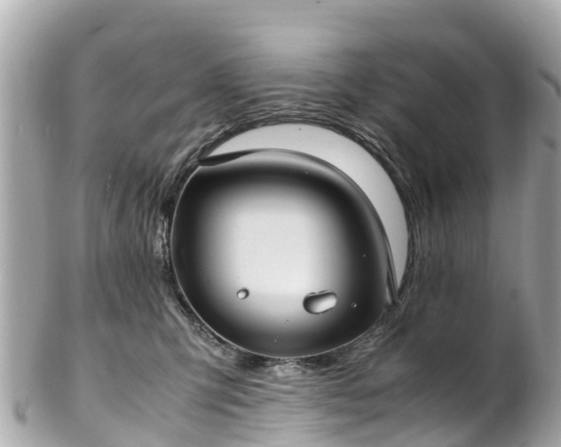 X0000102510423200808151551