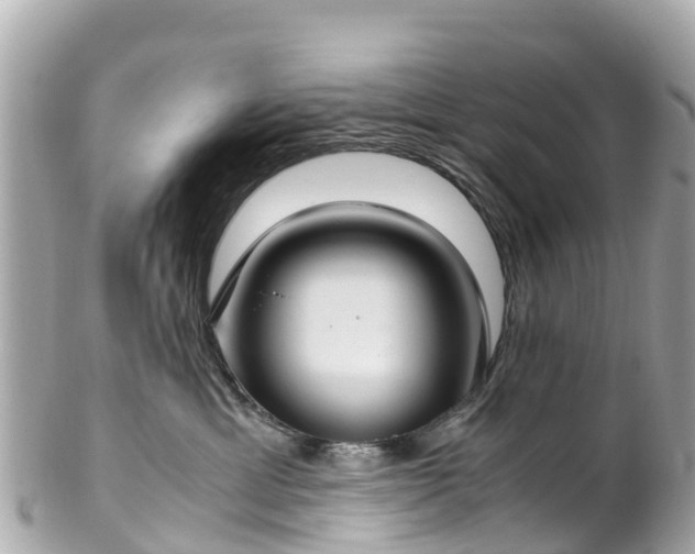 X0000102510429200808151551