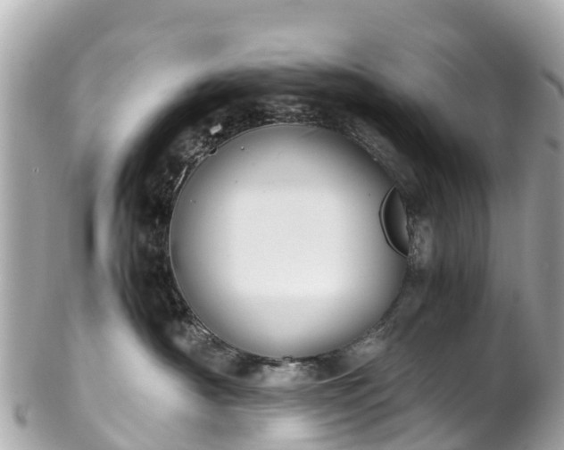 X0000102510430200808151551