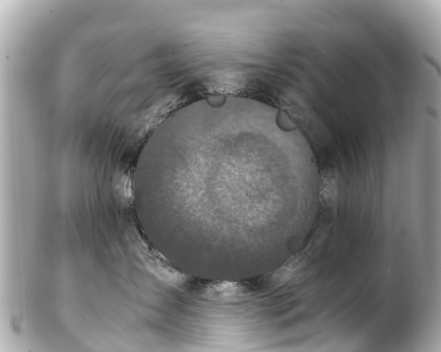 X0000102510431200808151551