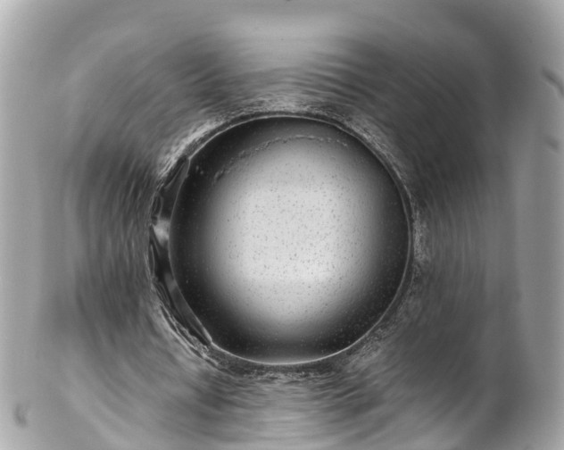 X0000102510434200808151550