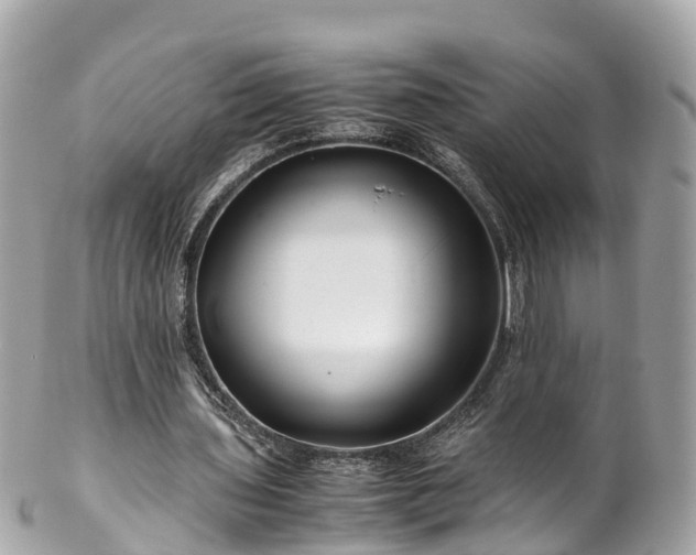 X0000102510435200808151550
