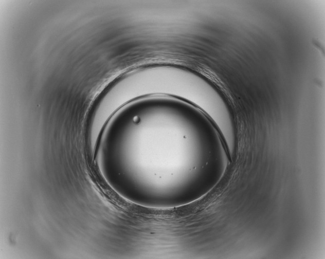 X0000102510436200808151550