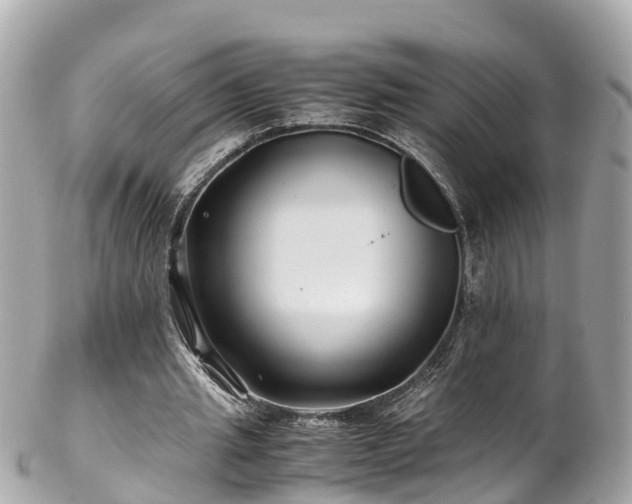 X0000102510437200808151550