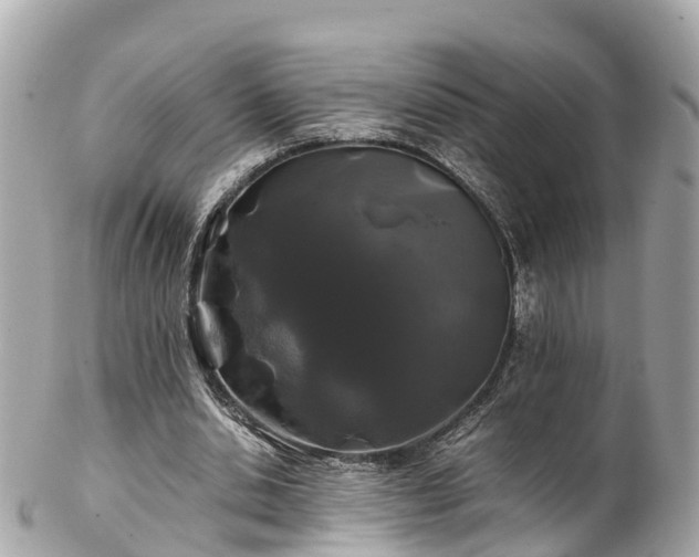 X0000102510438200808151550