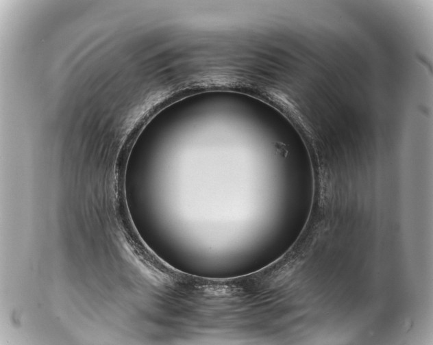 X0000102510439200808151550