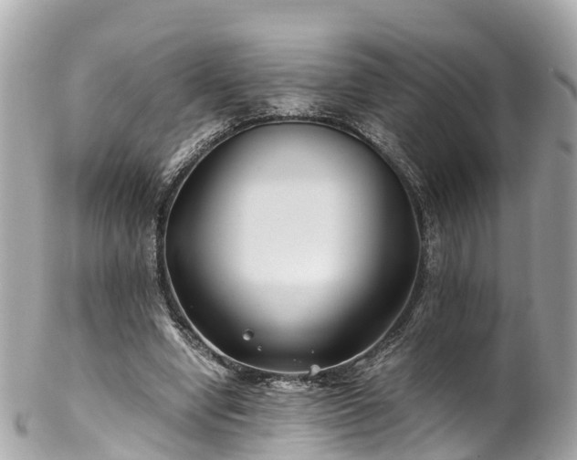 X0000102510442200808151550