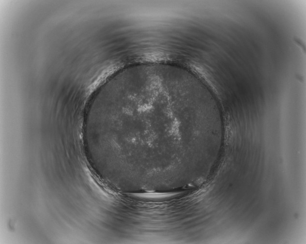 X0000102510443200808151550
