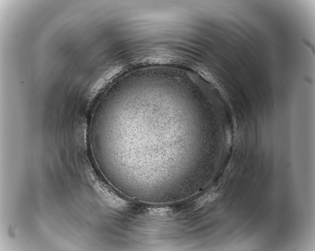 X0000102510446200808151550
