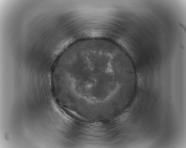 X0000102510447200808151550