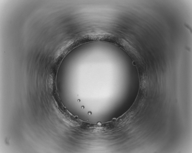 X0000102510448200808151550