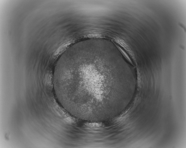 X0000102510449200808151550