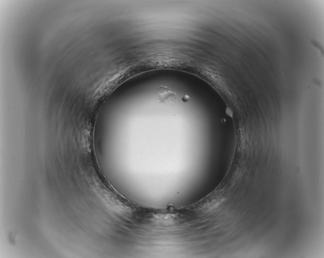 X0000102510450200808151550