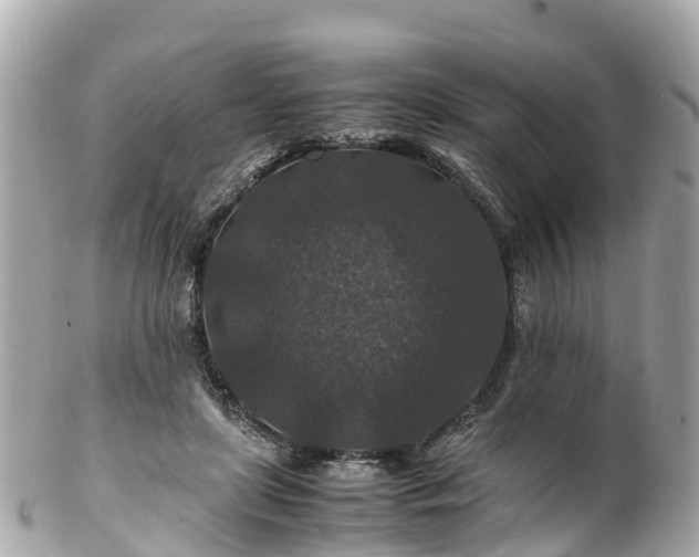 X0000102510451200808151550