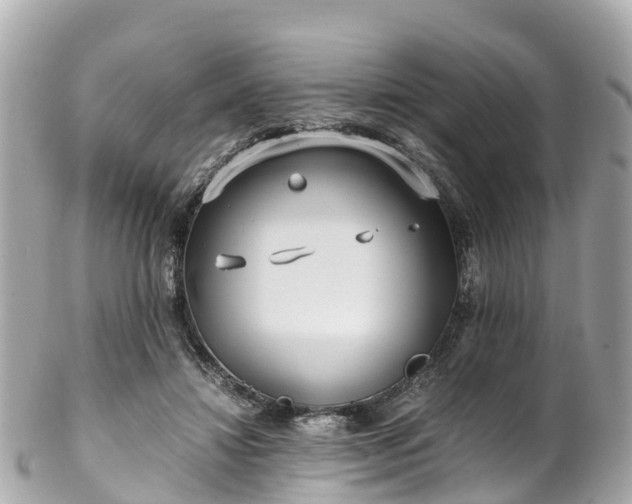 X0000102510452200808151550