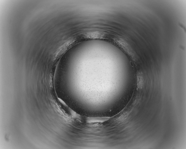 X0000102510453200808151550