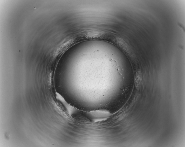 X0000102510454200808151551