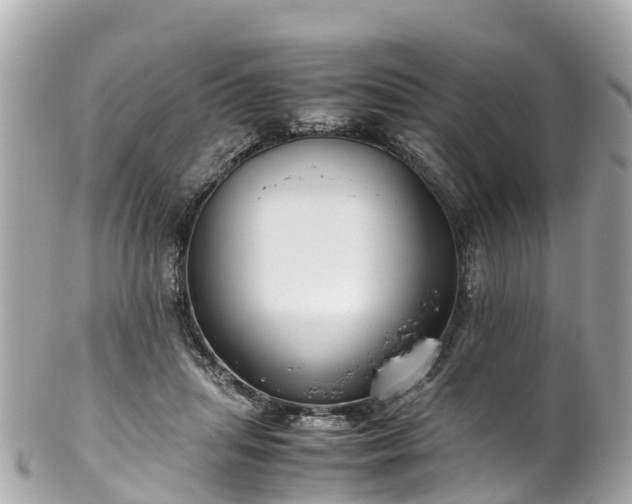 X0000102510455200808151551