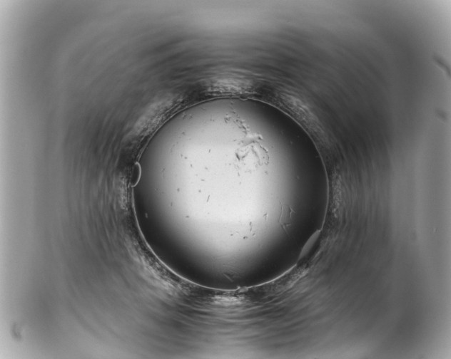 X0000102510457200808151551