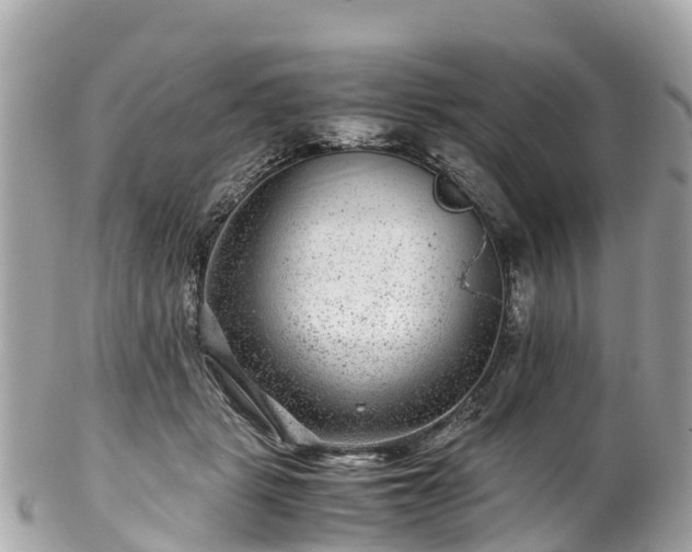 X0000102510461200808151551