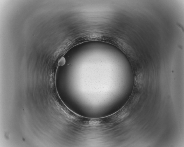 X0000102510462200808151551