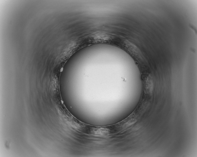 X0000102510463200808151551
