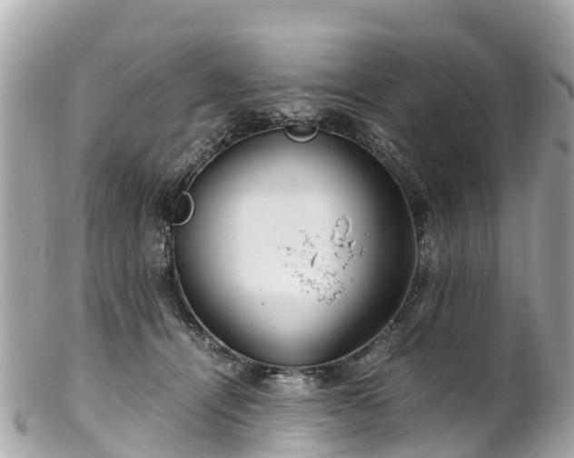X0000102510464200808151551