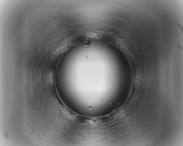 X0000102510466200808151551