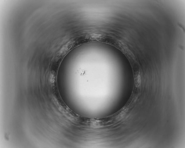 X0000102510472200808151551