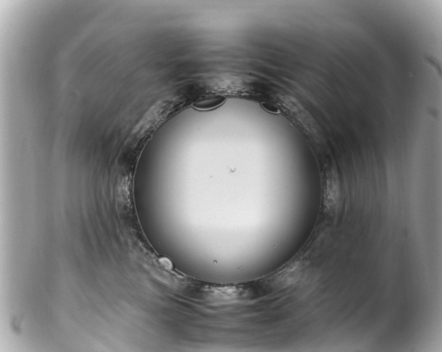 X0000102510473200808151551
