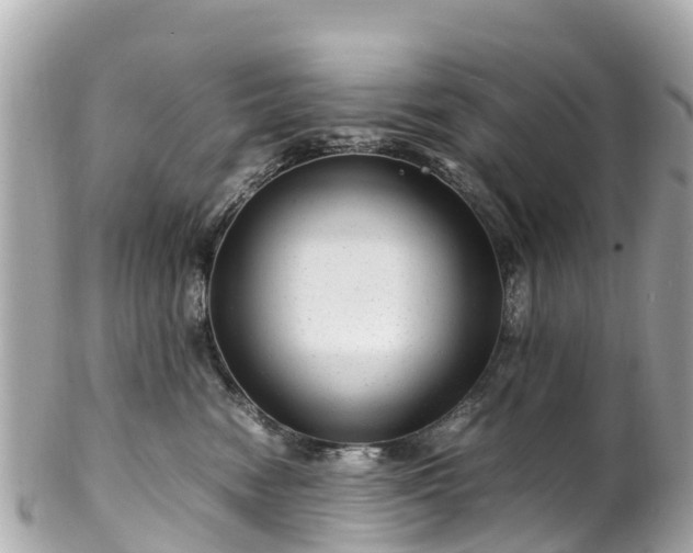 X0000102510474200808151551