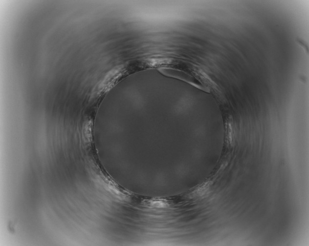 X0000102510475200808151551