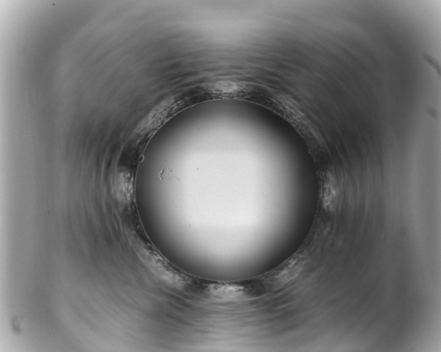 X0000102510476200808151551