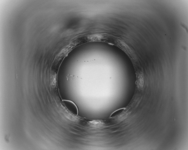 X0000102510477200808151551