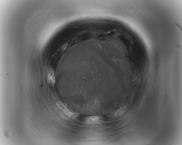 X0000102510479200808151551
