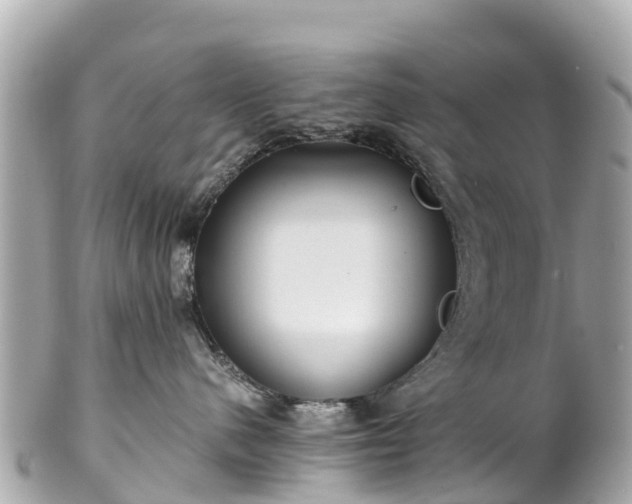 X0000102510480200808151551