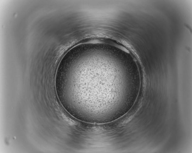 X0000102510481200808151550