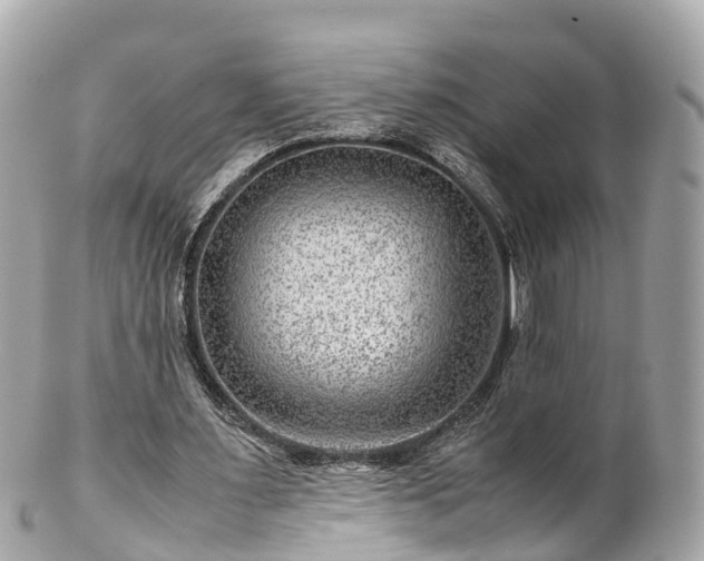 X0000102510483200808151550